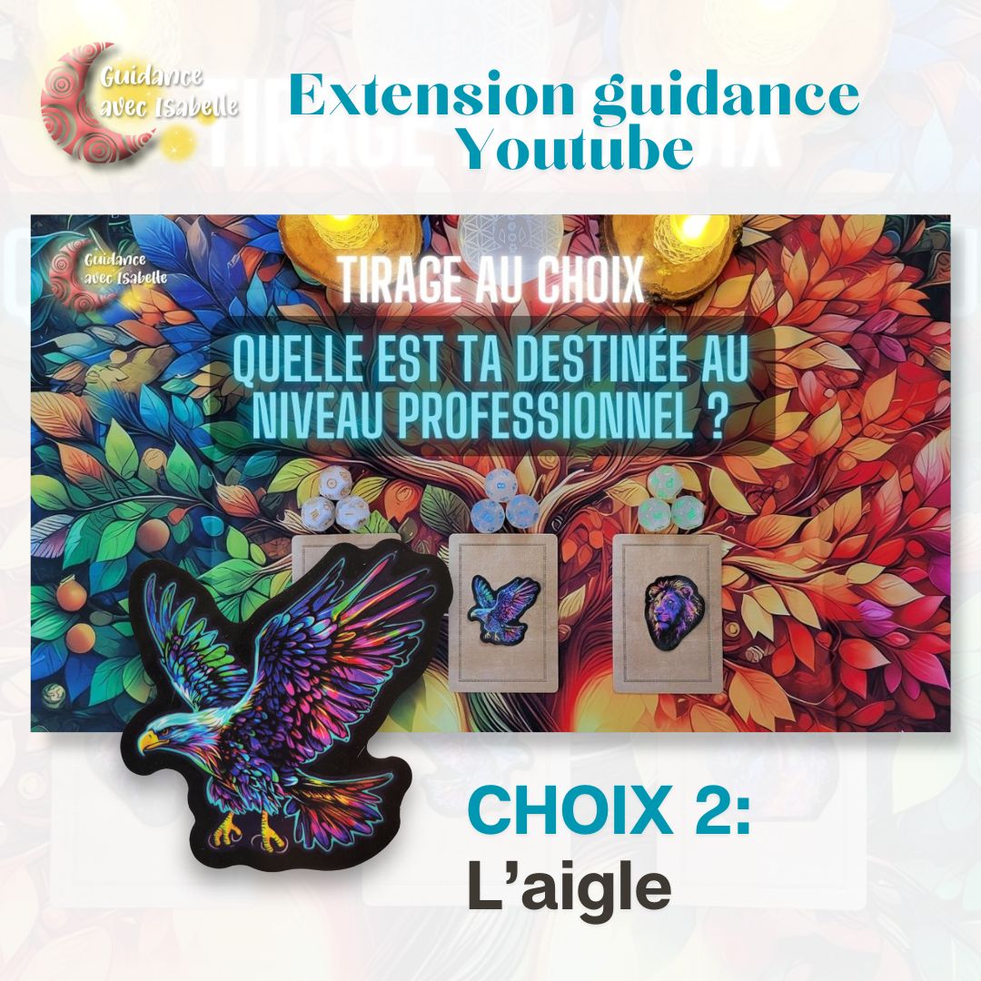 Extension guidance YouTube: Quelle est ta destinée au niveau professionnel CHOIX 2