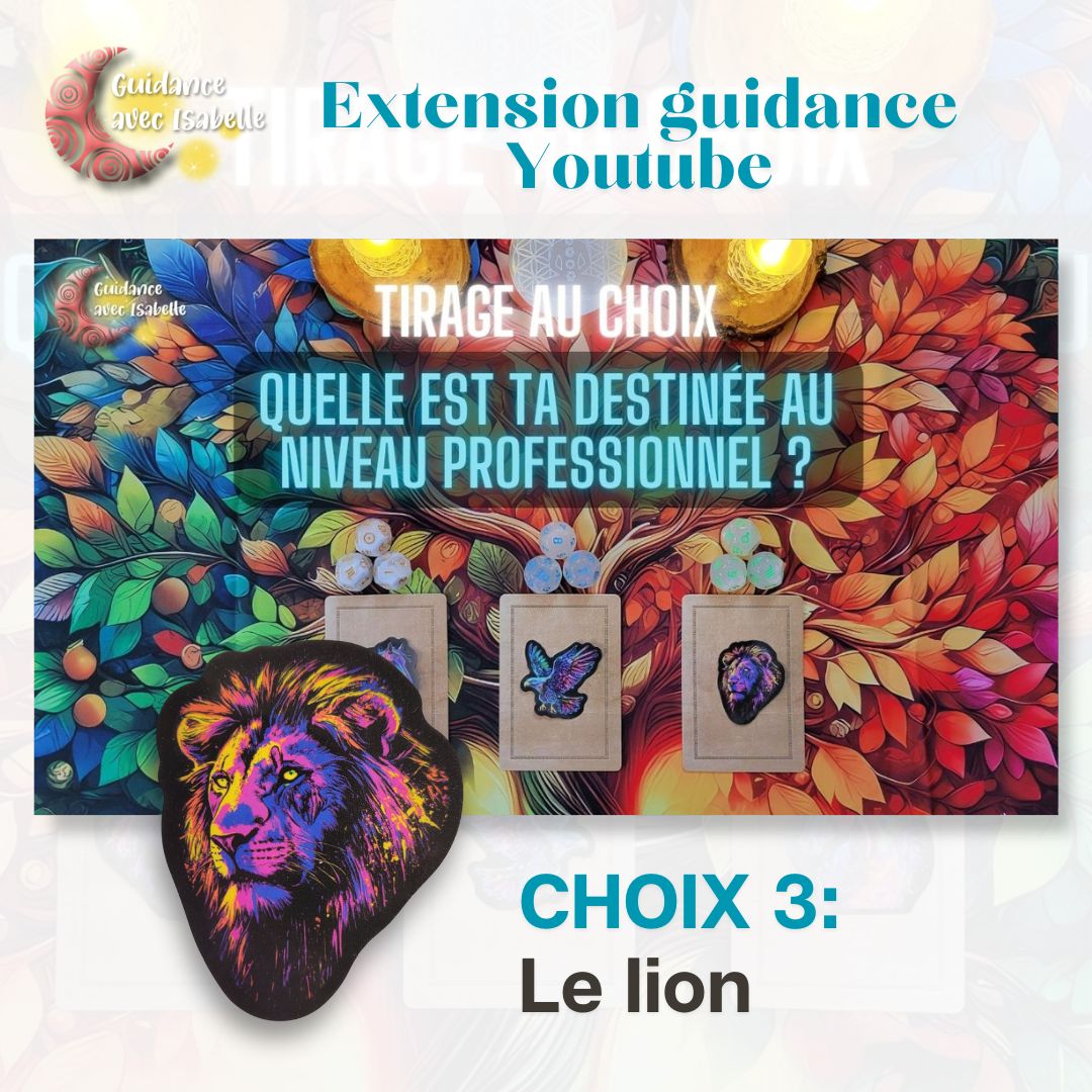 Extension guidance YouTube: Quelle est ta destinée au niveau professionnel CHOIX 3