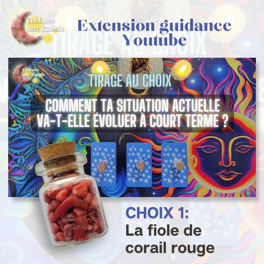 Extension guidance YouTube: Comment ta situation actuelle va-t-elle évoluer à court terme CHOIX 1