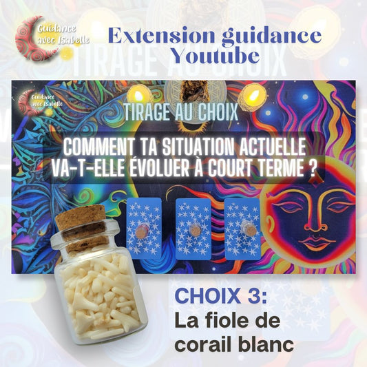 Extension guidance YouTube: Comment ta situation actuelle va-t-elle évoluer à court terme CHOIX 3